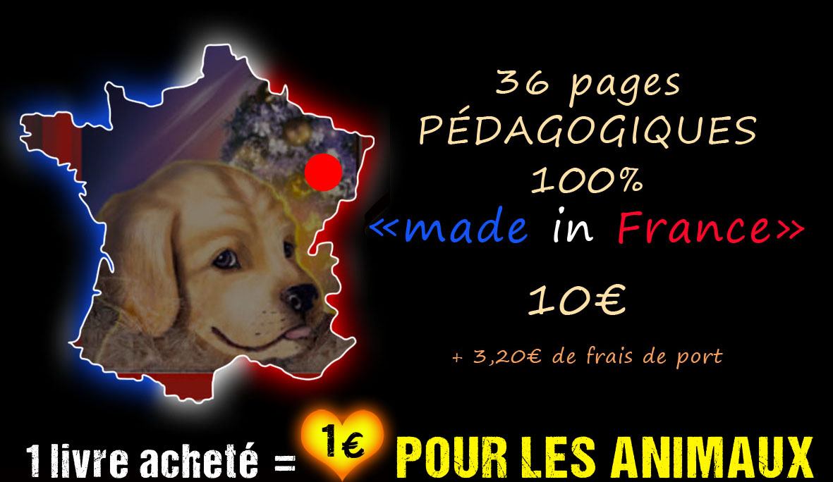 Slide 2112
