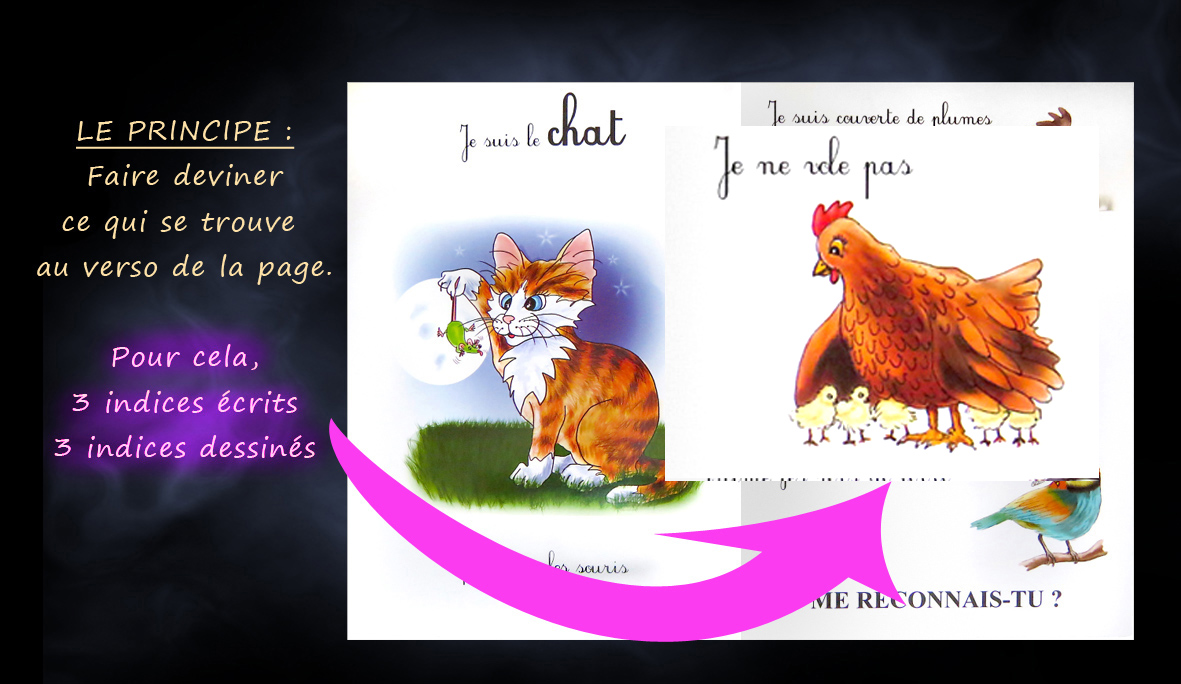 Slide 2304
