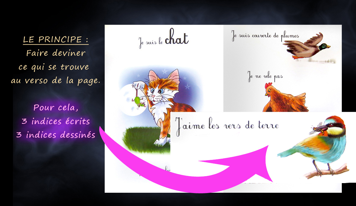 Slide 2305